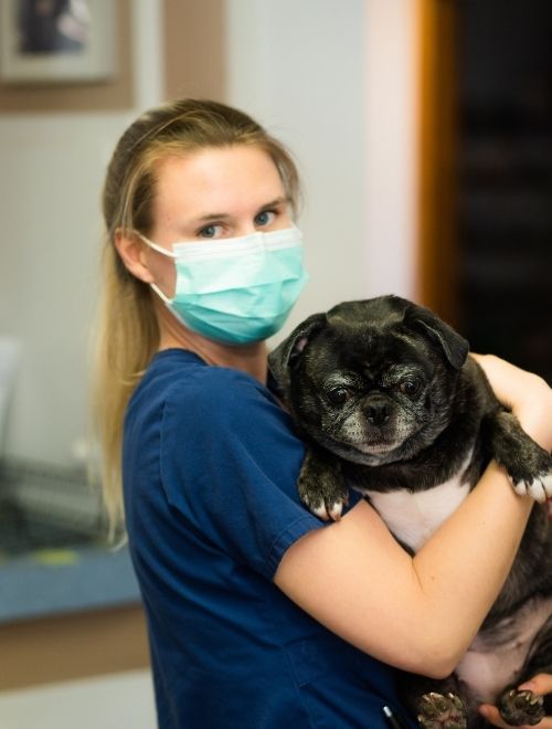 South County Veterinary Hospital Staff with dog